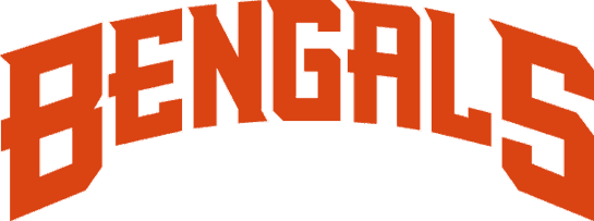 Cincinnati Bengals 1997-2003 Wordmark Logo fabric transfer version 3